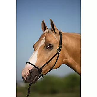 Mustang Be Good Control Poly Rope Halter