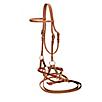 Tory Harness Leather Side Pull with Reins