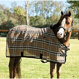 Kensington Traditional Pony Fly Sheet 62 Red
