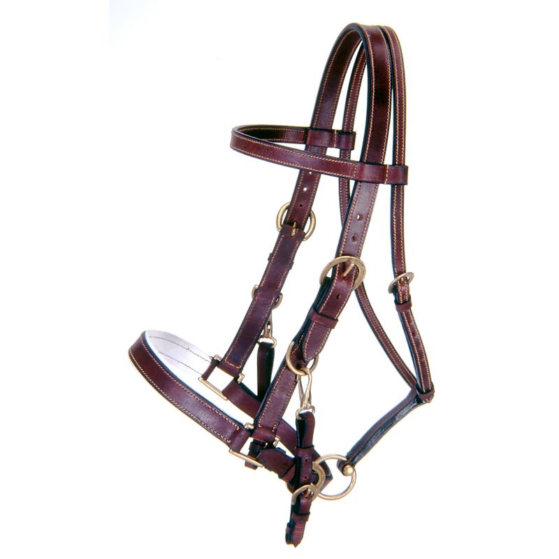 73-9800-7-0 Australian Outrider Leather Bridle/Halter Combo Br sku 73-9800-7-0