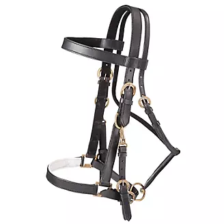 Australian Outrider Leather Bridle/Halter Combo