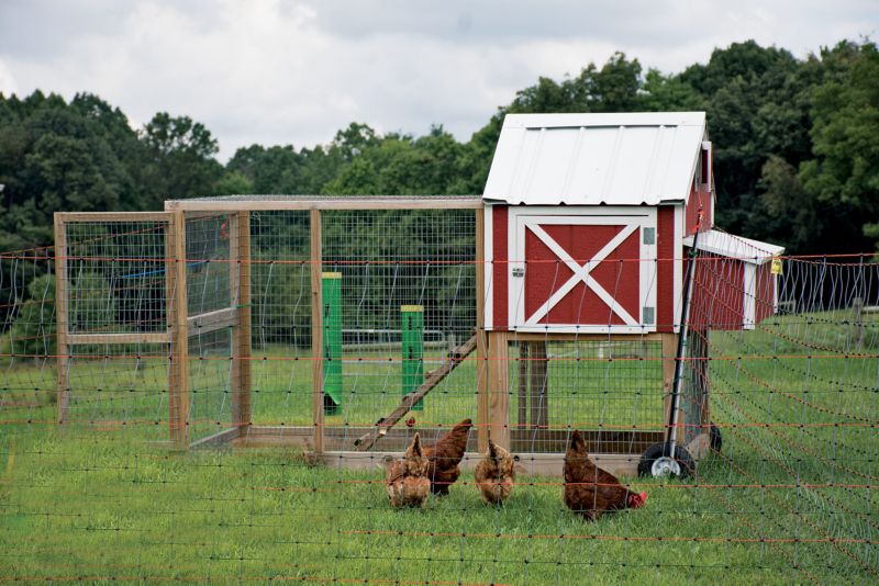 Powerfields Posi/Negi Commercial Poultry Pen