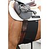 EquiFit Belly Band for Spur Protection
