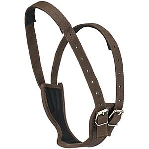 Tough-1 Deluxe Leather Crib Be Gone Comfort Collar Size Small Horse Tack 