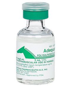 Equine Adequan Injection 5ml Vials 1pk