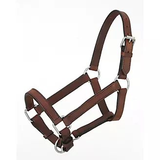 Tough 1 Royal King Braided Leather Halter, Brown, Horse