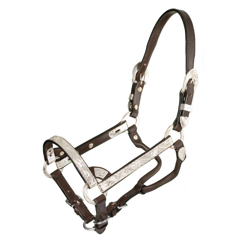 Royal King Silver Mini Show Halter Large