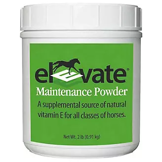 Elevate Maintenance Powder 2lb