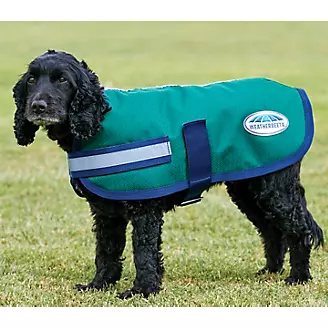 WeatherBeeta Parka 1200D Dog Coat
