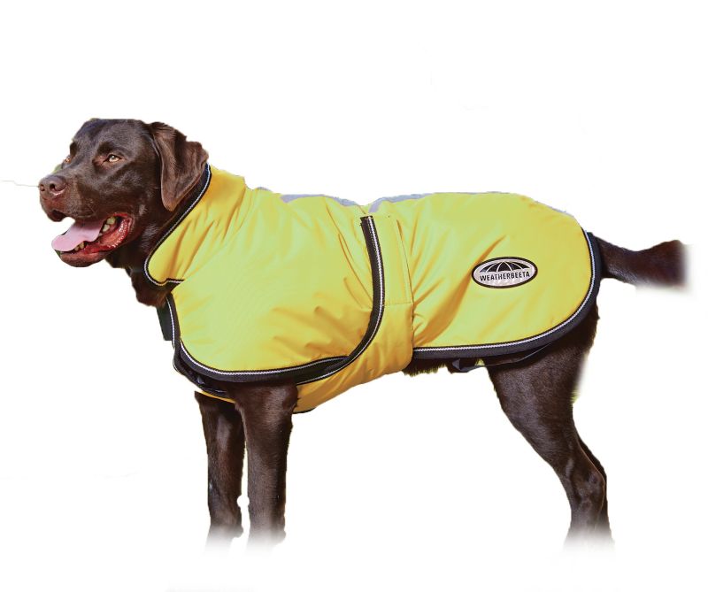 WeatherBeeta Reflect Dog Parka 300D Deluxe
