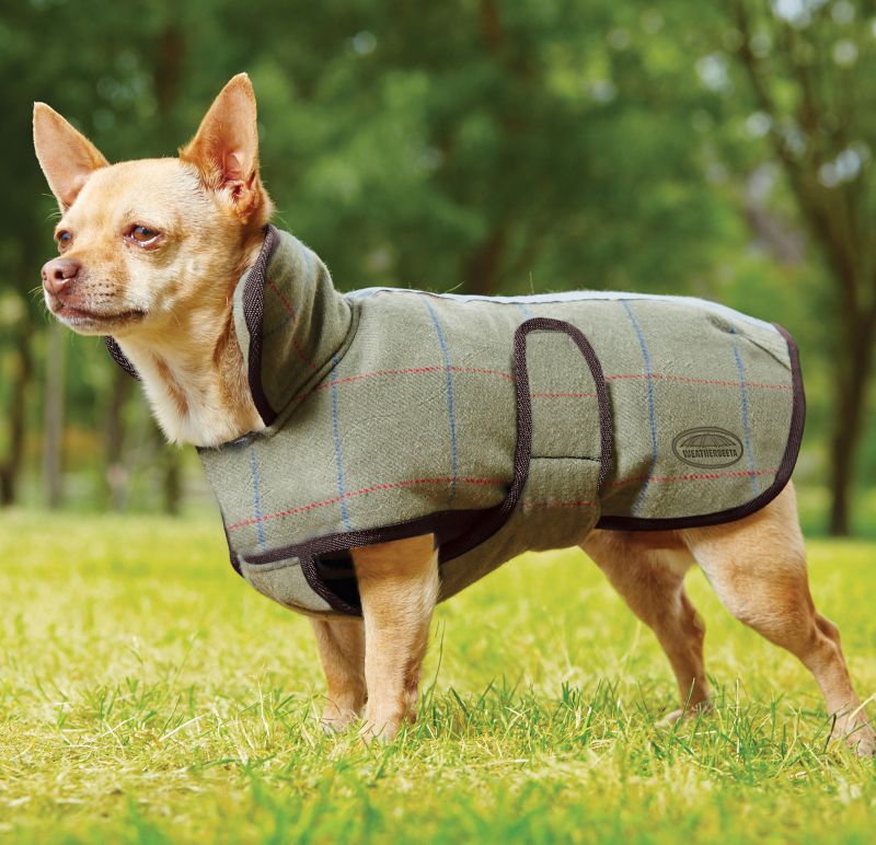 tweed dog jacket