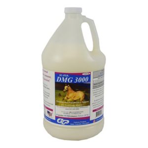 dmg liquid for dogs