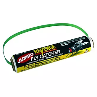 Jumbo Fly Catcher