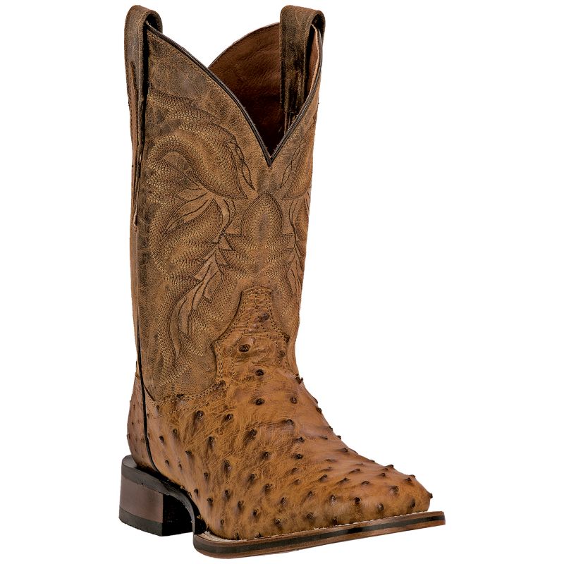 Dan Post Boots Alamosa Embroidered Ostrich Pull On Square Toe Cowboy Boots