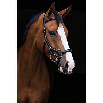 Micklem Deluxe Competition Bridle