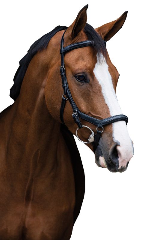 SBAB53-K000-PY Micklem Deluxe Competition Bridle Pony Black sku SBAB53-K000-PY