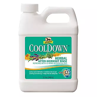 Absorbine CoolDown After-Workout Rinse