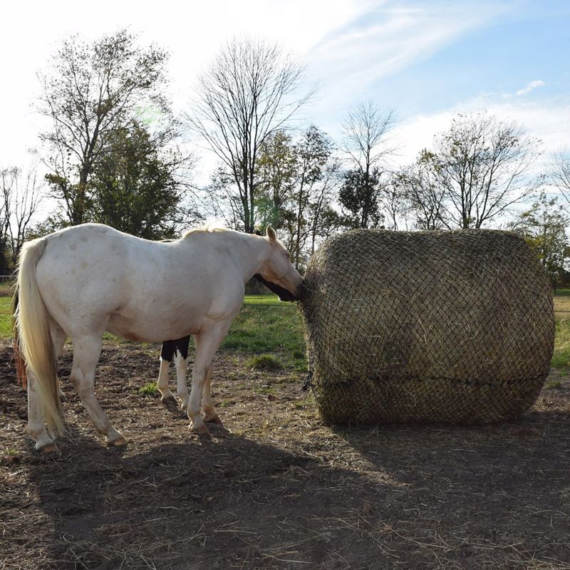 Tough1 Deluxe Round Bale Slow Feed Hay Net Statelinetack Com