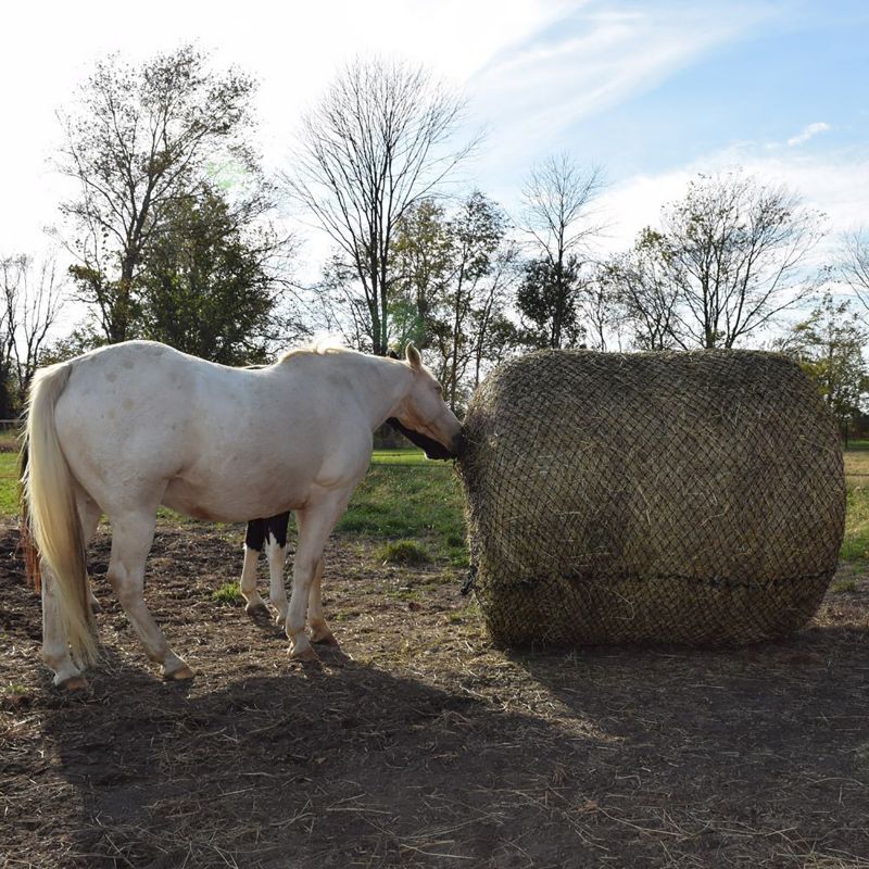 hay net for round bales