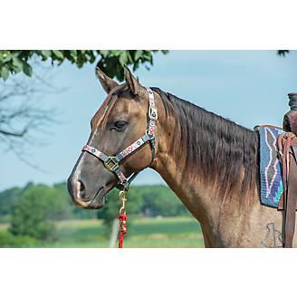 Weaver Leather Adjustable Patterned Nylon Horse Halter