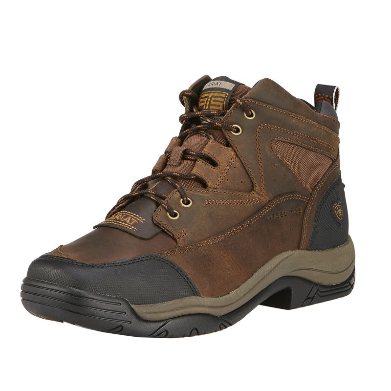 ariat shoes steel toe