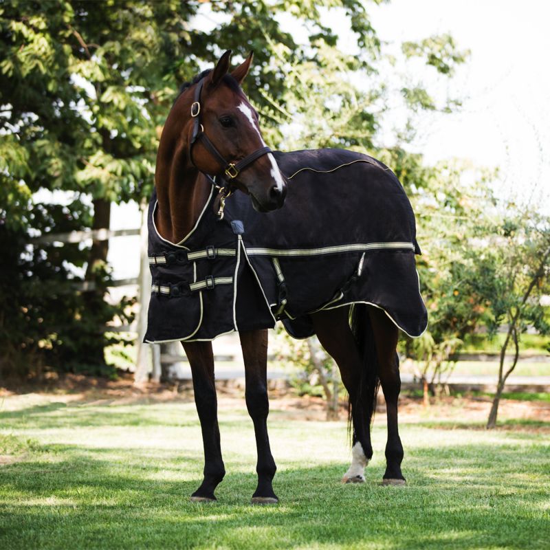 Noble Equestrian Guardsman 4 In 1 Blanket Statelinetack Com