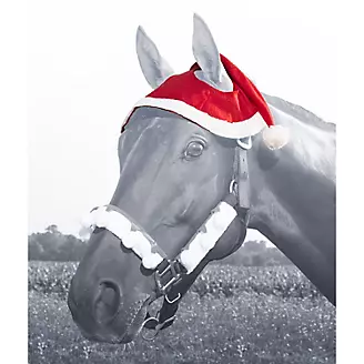 Holiday Santa Horse Hat