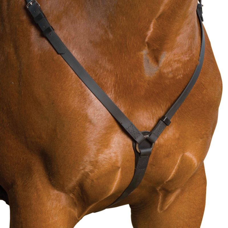 WABPLATEFBLK Wintec Breastplate Full Black sku WABPLATEFBLK