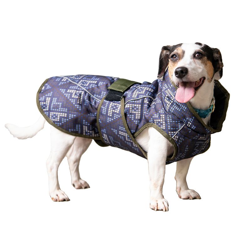 Dog coat clearance clearance