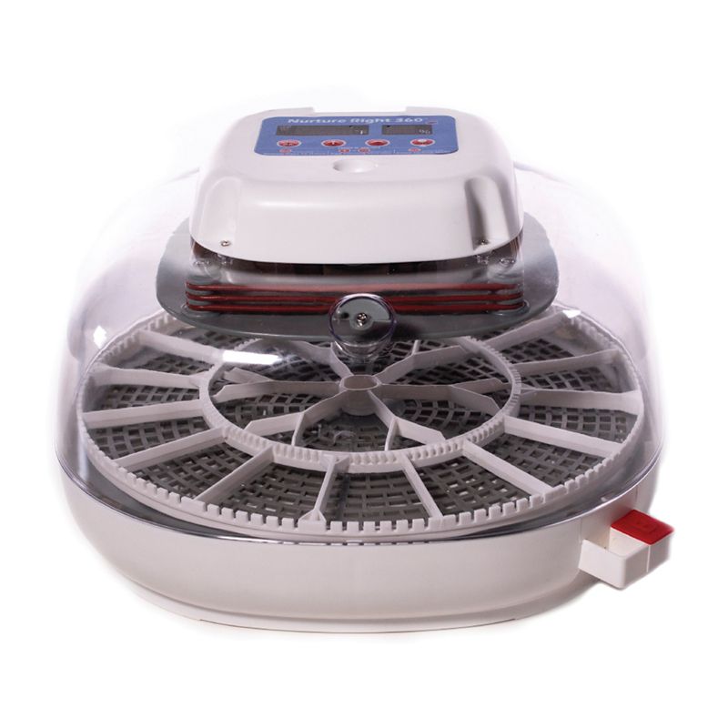 Harris Farms Nurture Right 360 Incubator Horse 