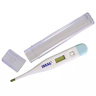 Ideal Digital Thermometer