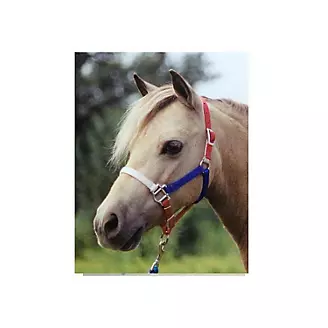 Ozark Mini/Pony Nylon USA Halter 5/8In