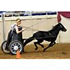 Ozark Kildow Mini/Pony Breaking Driving Harness