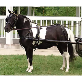 CDE Mini/Pony Formal Driving Harness