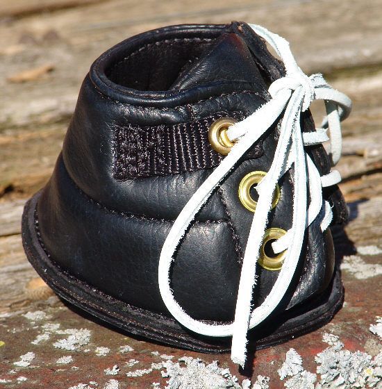 miniature horse boots sneakers