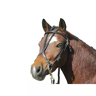Ozark Mini/Pony Open Headstall