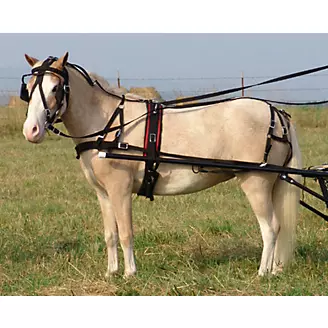Ozark Mini/Pony Nylon Driving Harness