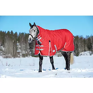 Weatherbeeeta Blanket Leg Straps- Horse Blanket Straps