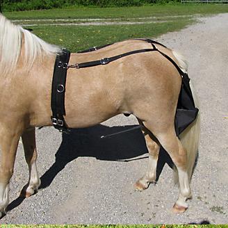 Ozark Mini/Pony Driving or Companion Diaper