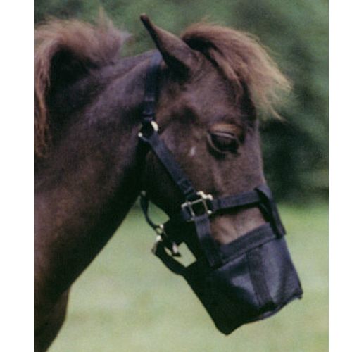 Mini shop horse muzzle