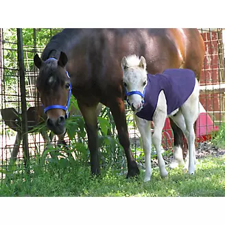 Saddles  Horse blankets, Mini horse tack, Horse crafts