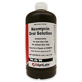 Neomycin Oral Solution 16oz
