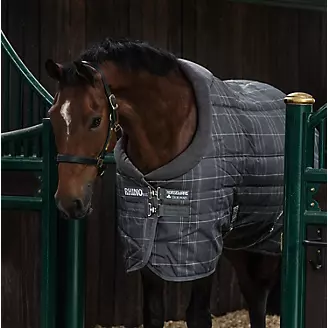 Snuggie Quilted Foal Adjustable Stable Blanket 