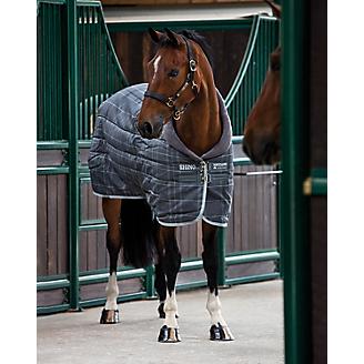 horse wearing a stable blanket