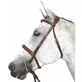 HDR Pro Mono Crown Padded Bridle