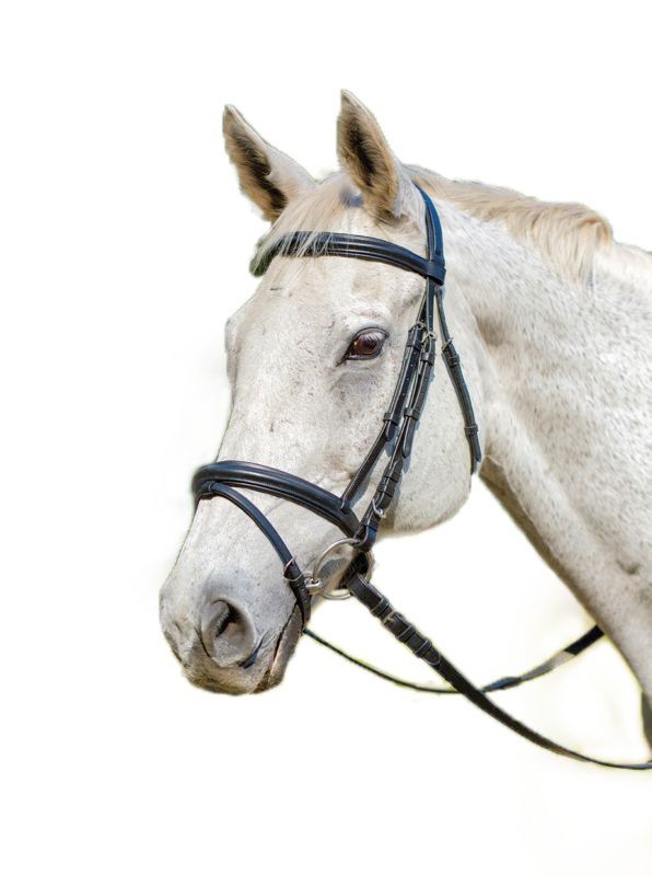 50006BLKXFULL Shires Avignon Louisville Bridle XFull Black sku 50006BLKXFULL