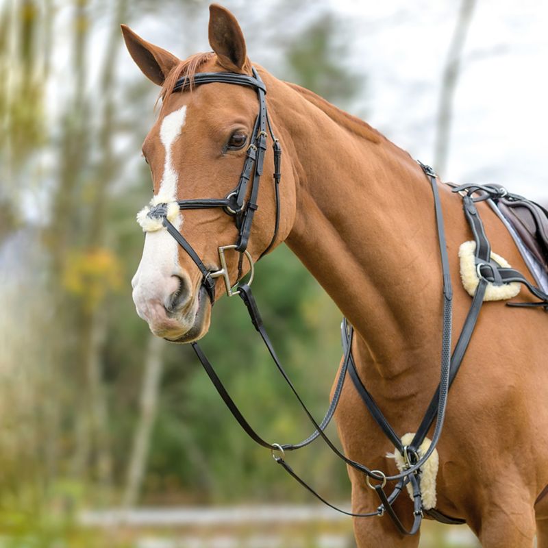 50027HAVANACOB Shires Avignon Five Point Breastplate Cob Havana sku 50027HAVANACOB