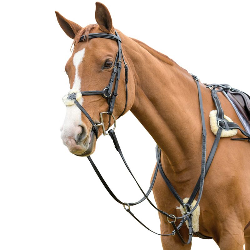 50027BLKFULL Shires Avignon Five Point Breastplate Full Black sku 50027BLKFULL