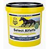 Select the Best Select Alfalfa