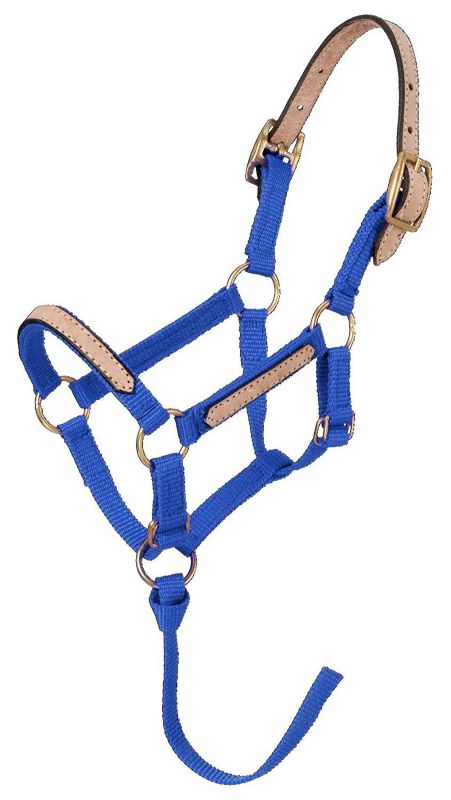 Tough1 Miniature Breakaway Halter Small Royal